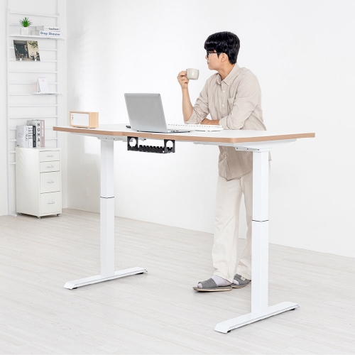 핏쳐 E2 vs FlexiSpot E5 비교: 30만 원대 모션데스크 승자는? 공식 이미지 1