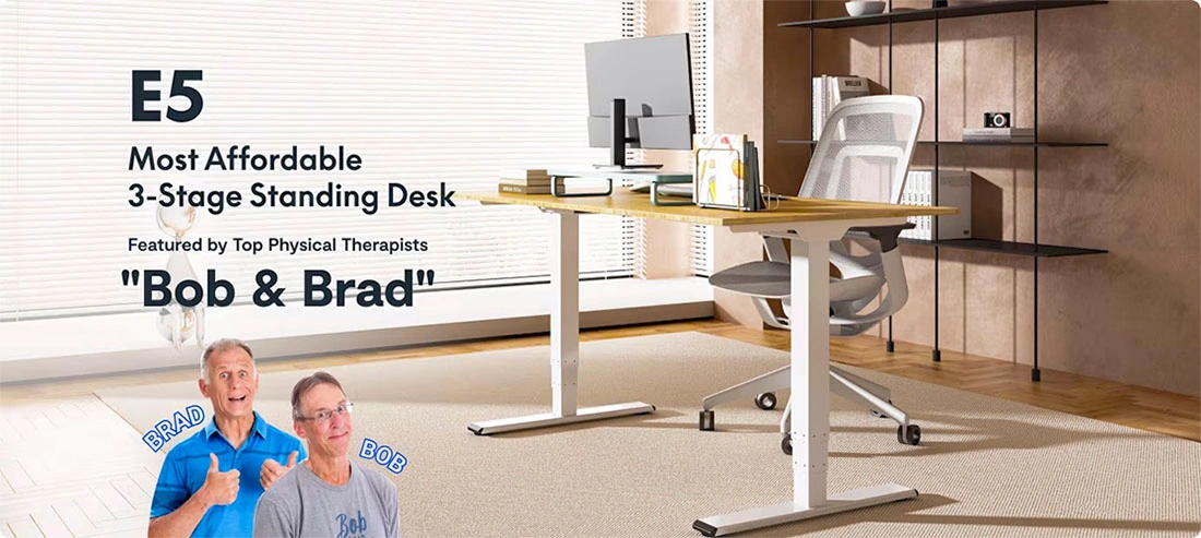 핏쳐 E2 vs FlexiSpot E5 비교: 30만 원대 모션데스크 승자는? 공식 이미지 3