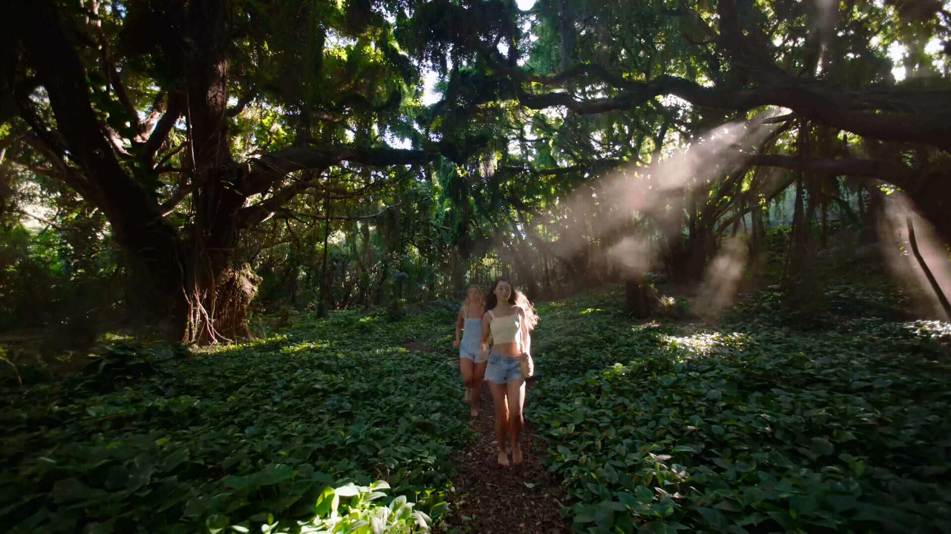 DJI Flip 공식 이미지 2