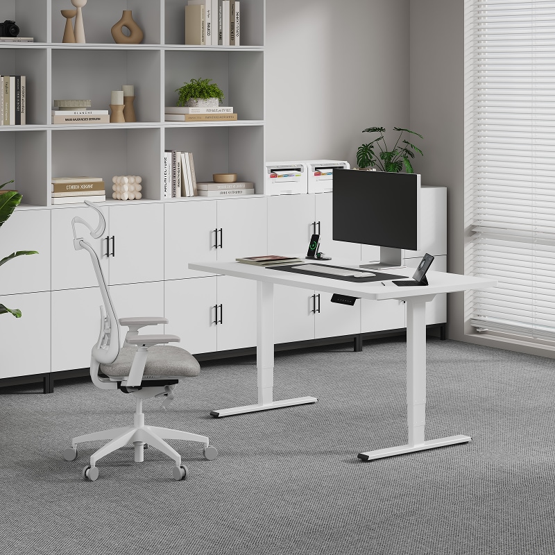 FlexiSpot E5 오피스 사용 예시